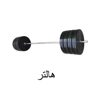 هالتر